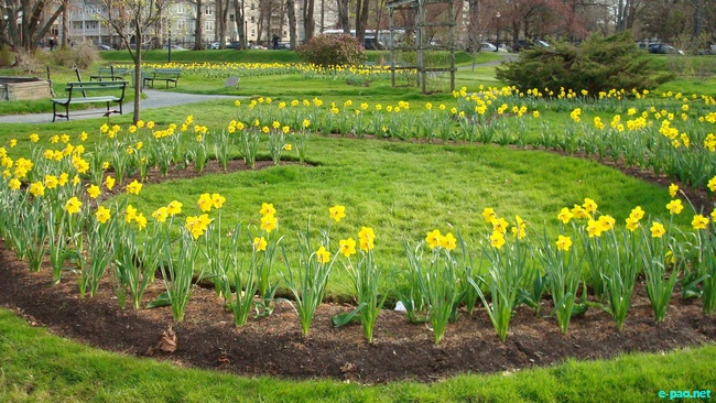 Winter and Spring at Halifax, Nova Scotia, Canada during 2007-2009