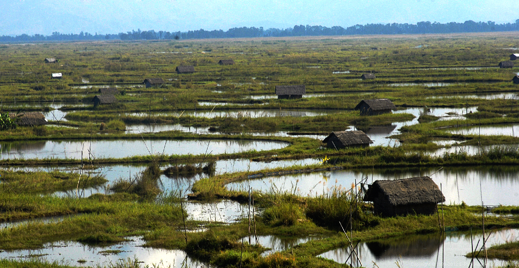  Loktak Lake with an area of 287 sq. km, is the largest fresh water lake in North East India 