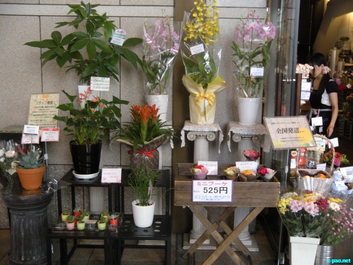 Glimpses of Japan :: November 2010