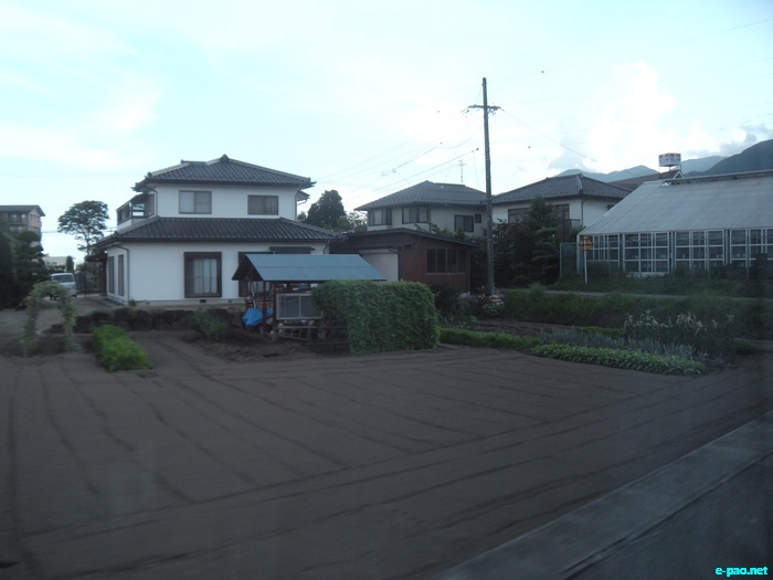 Glimpses of Japan :: November 2010