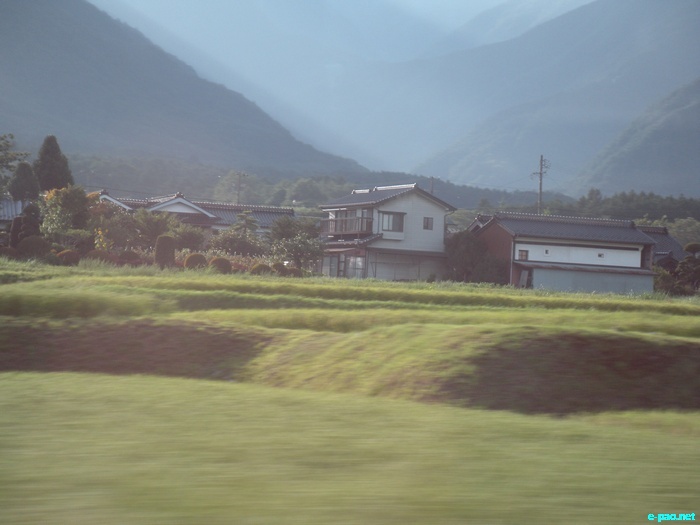Glimpses of Japan :: November 2010
