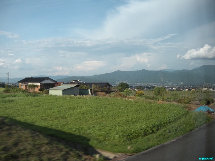 Glimpses of Japan :: November 2010