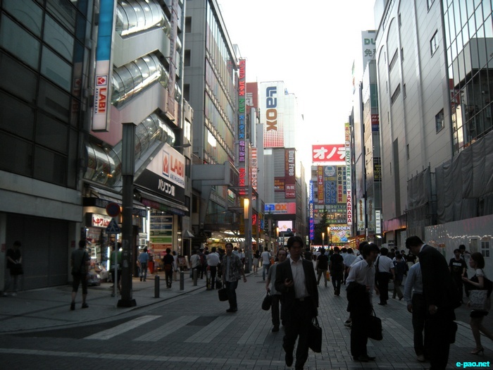 Glimpses of Japan :: November 2010