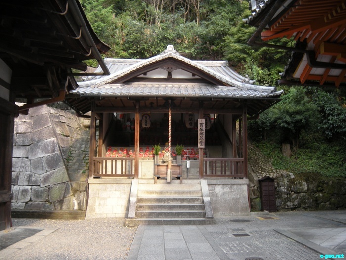 Glimpses of Japan :: November 2010