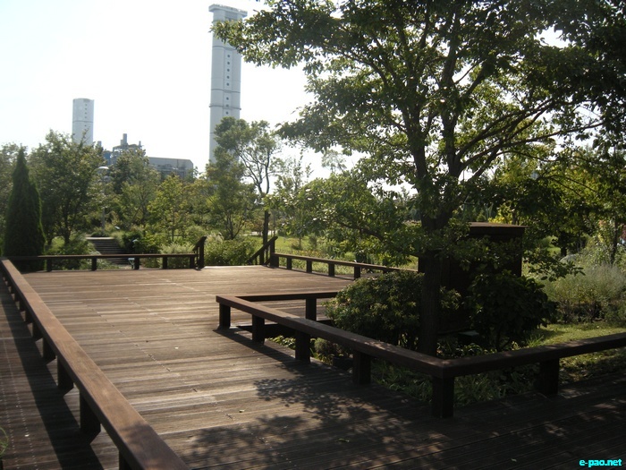 Glimpses of Japan :: November 2010