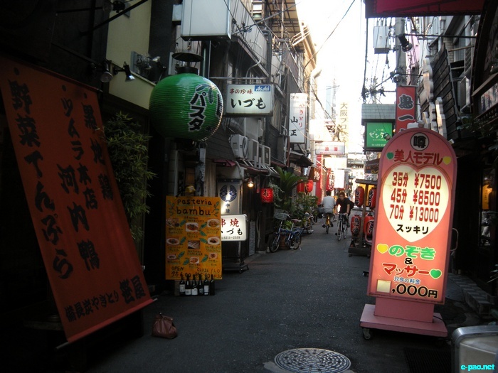 Glimpses of Japan :: November 2010
