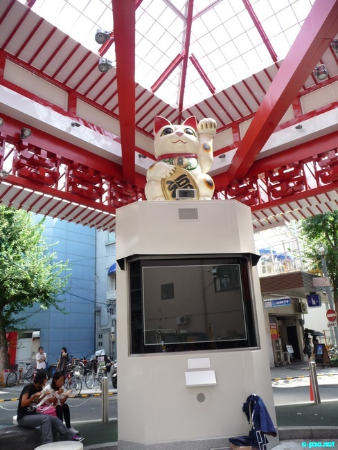 Glimpses of Japan :: November 2010