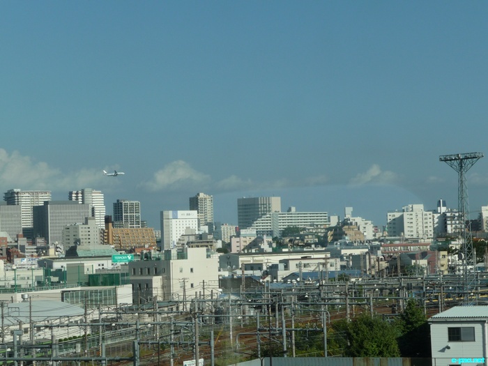 Glimpses of Japan :: November 2010