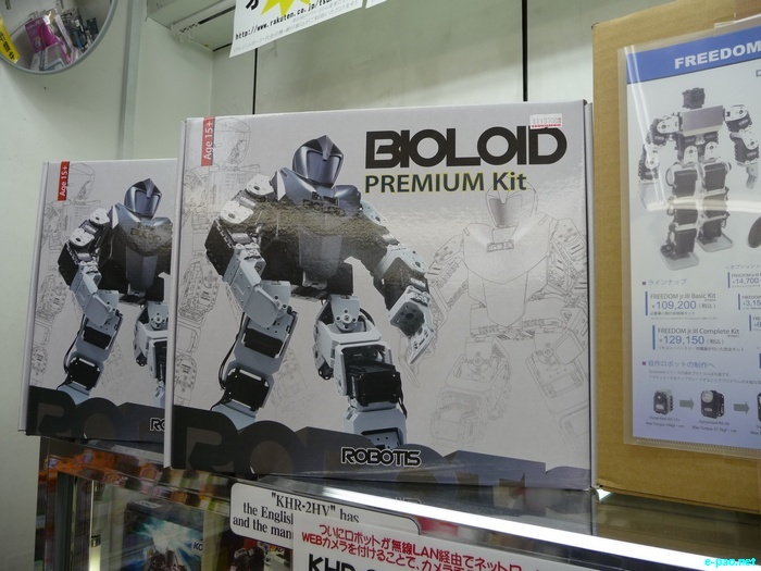 Glimpses of Japan :: November 2010