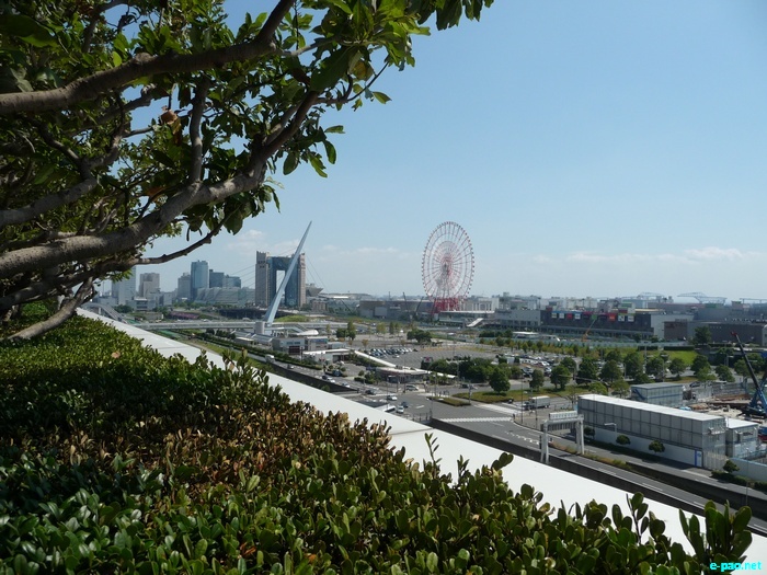 Glimpses of Japan :: November 2010