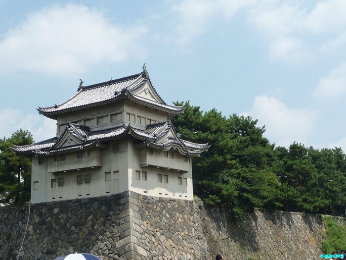 Glimpses of Japan :: November 2010