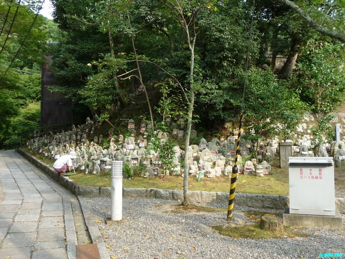 Glimpses of Japan :: November 2010