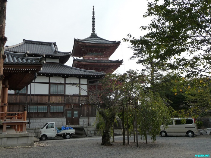 Glimpses of Japan :: November 2010
