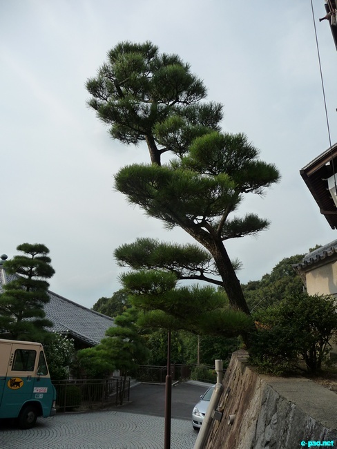 Glimpses of Japan :: November 2010