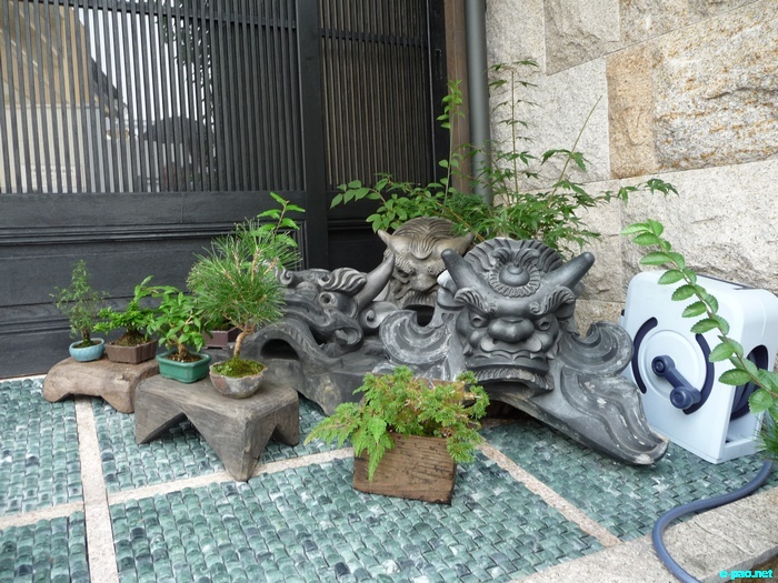 Glimpses of Japan :: November 2010