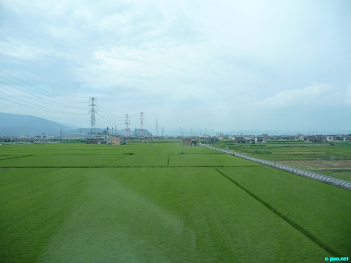 Glimpses of Japan :: November 2010