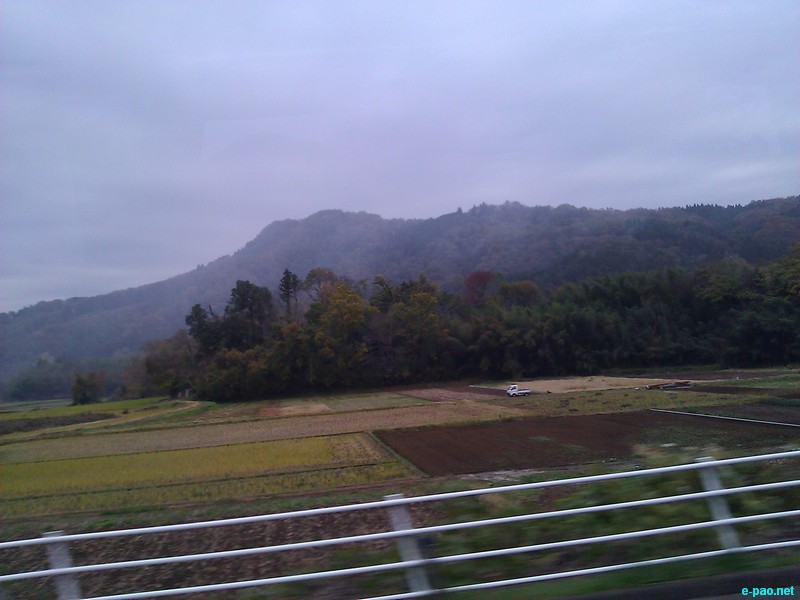 Trip to Japan, Land of the Rising Sun :: November 2012