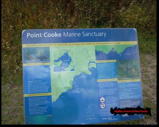 Point Cooke Marine Sanctuary, Australia :: 2007