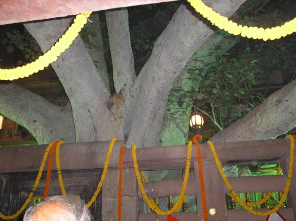 Bodh Gaya - One of the Holiest Buddhist center