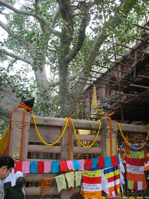 Bodh Gaya - One of the Holiest Buddhist center