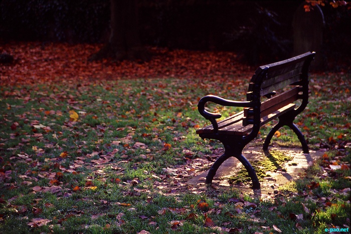 Through the lens of Chanin Sarutpong (from Thailand) in United Kingdom (UK) :: 2011
