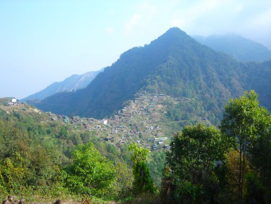 Benreu at Mt Pauna, Nagaland :: March 2009