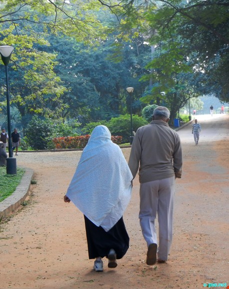 Lalbagh, Bangalore :: December 2010