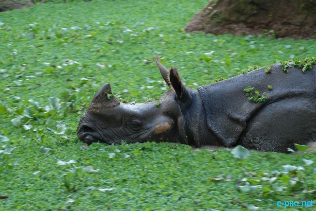 Guwahati Zoo :: September 2010