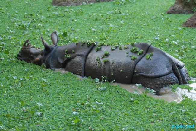 Guwahati Zoo :: September 2010