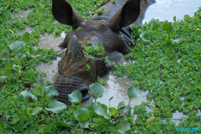 Guwahati Zoo :: September 2010