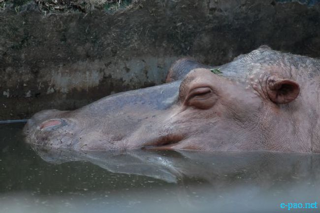 Guwahati Zoo :: September 2010