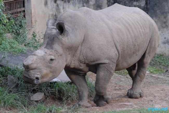 Guwahati Zoo :: September 2010