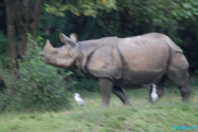 Guwahati Zoo :: September 2010