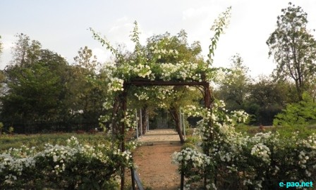 Binoranjan Oinam clicks in Karnatka 2010