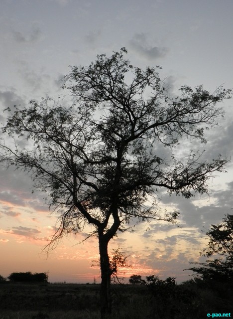 Binoranjan Oinam clicks in Karnatka 2010