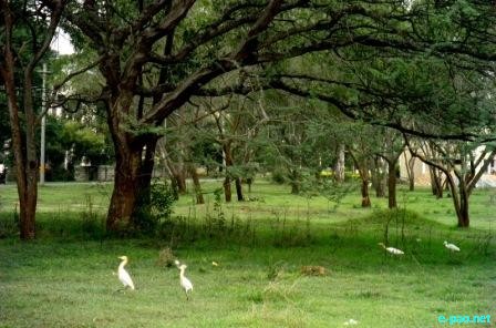 Binoranjan Oinam clicks in Mysore 2010