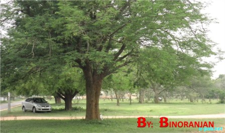 Binoranjan Oinam clicks in Mysore 2010