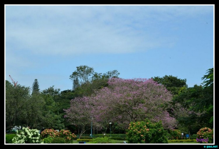 Scenery of Bangalore - as captured through the lenses of Bimal Th :: 2011