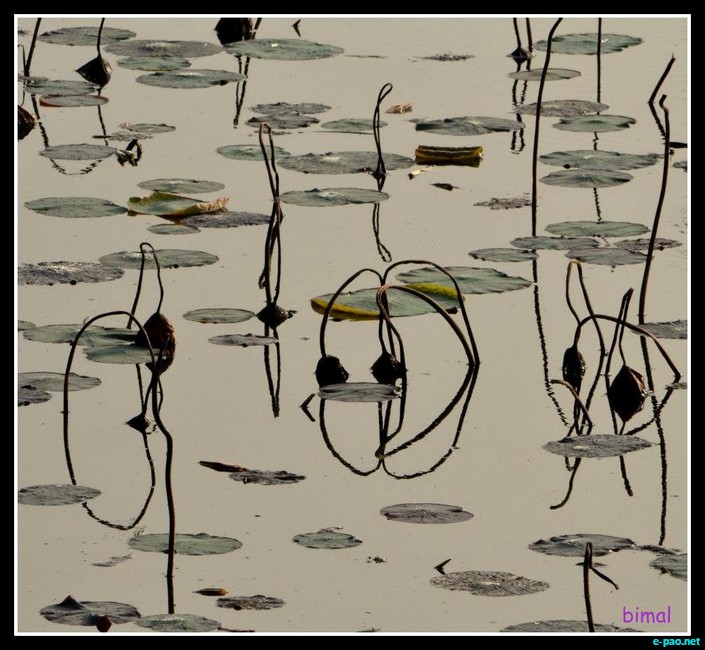 Scenery of Bangalore - as captured through the lenses of Bimal Th :: 2011