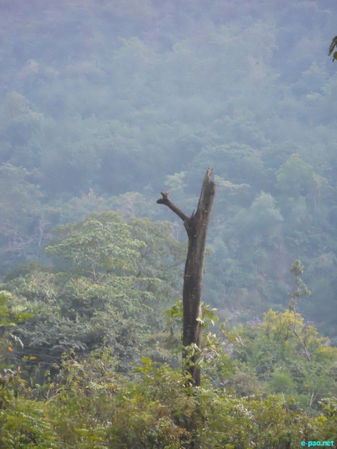 Shivpuri-Rishikesh (Land of God) and other places in India :: 2011