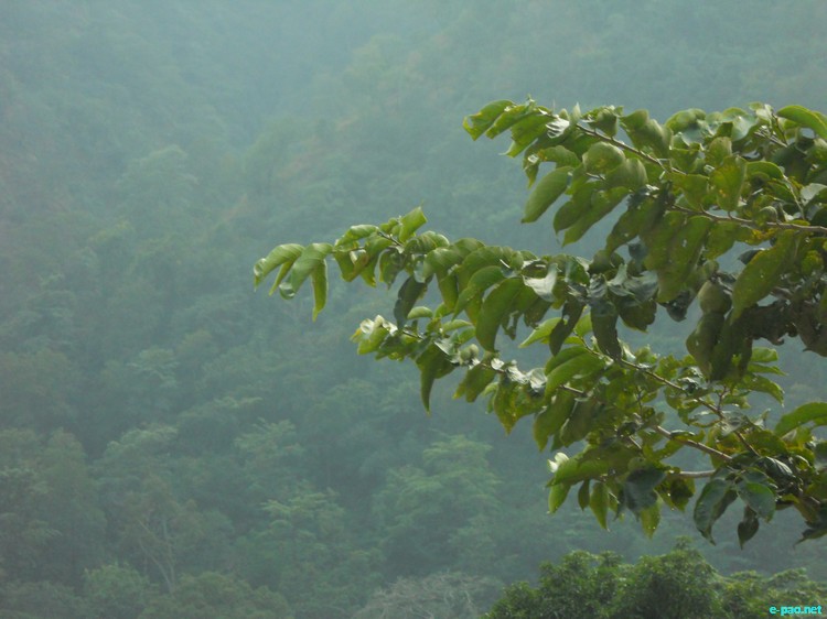 Shivpuri-Rishikesh (Land of God) and other places in India :: 2011