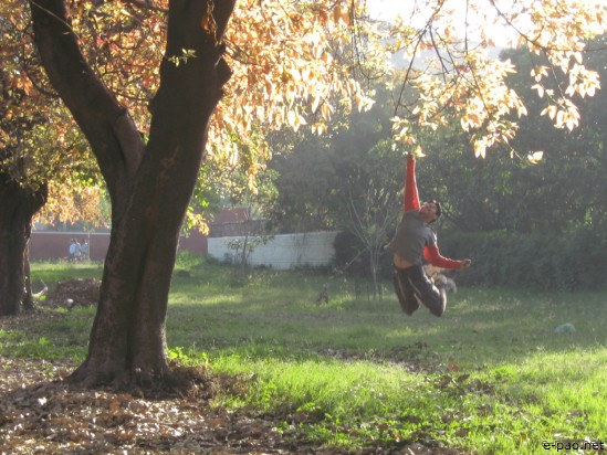 Chandigarh - The beautiful City :: April 2007