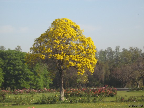 Chandigarh - The beautiful City :: April 2007