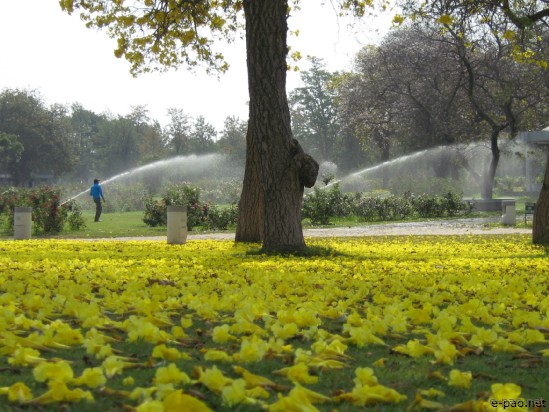 Chandigarh - The beautiful City :: April 2007