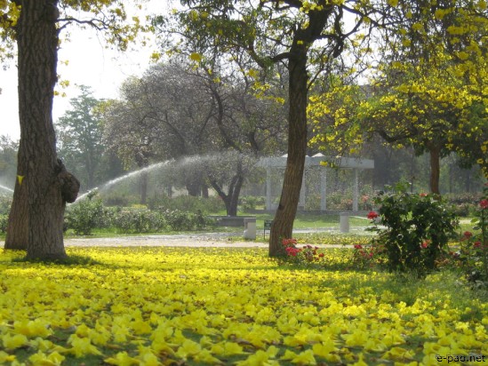 Chandigarh - The beautiful City :: April 2007