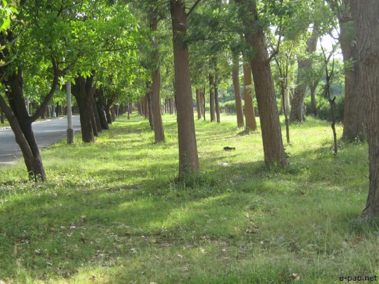 Chandigarh - The beautiful City :: April 2007