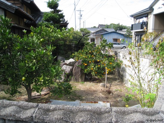 Japan 2007
