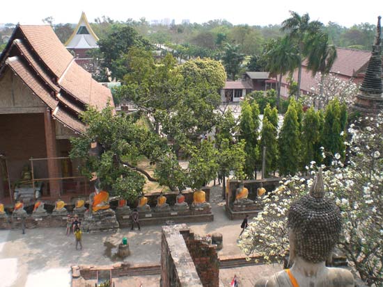 Ayutthaya - Thai Ancient Capital