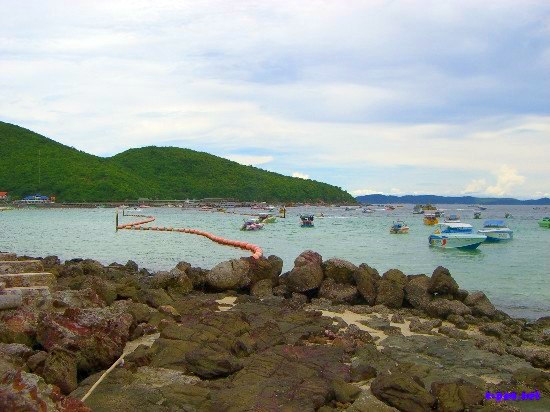 Ko Lan or Coral Island :: Thailand 2008