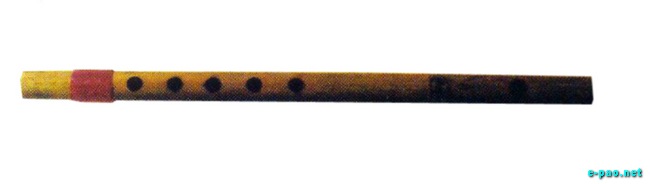 Traditional/Indigenous Musical Instrument of Manipur :: 2009